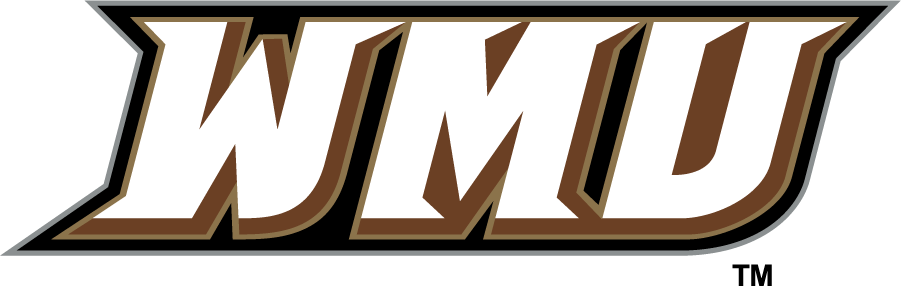 Western Michigan Broncos 1998-2016 Wordmark Logo diy DTF decal sticker